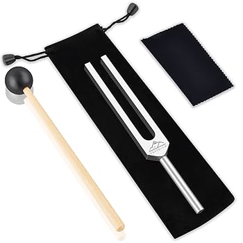 【非売品】528Hz mini Fork チューニングフォーク② 528 Hz Tuning Fork - SWB 256 Tuning Forks